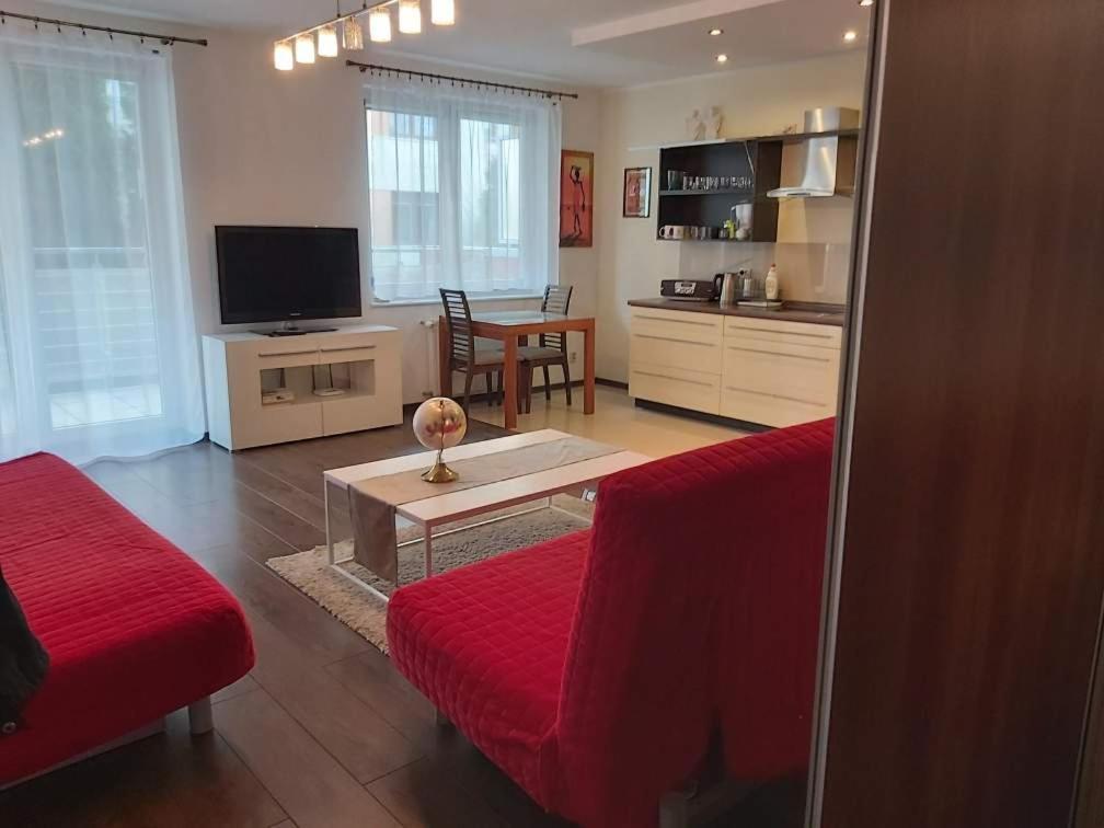 קולובז'ג Apartament Zaglowce מראה חיצוני תמונה
